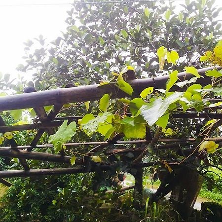 Homestay Moc Chau Bagian luar foto