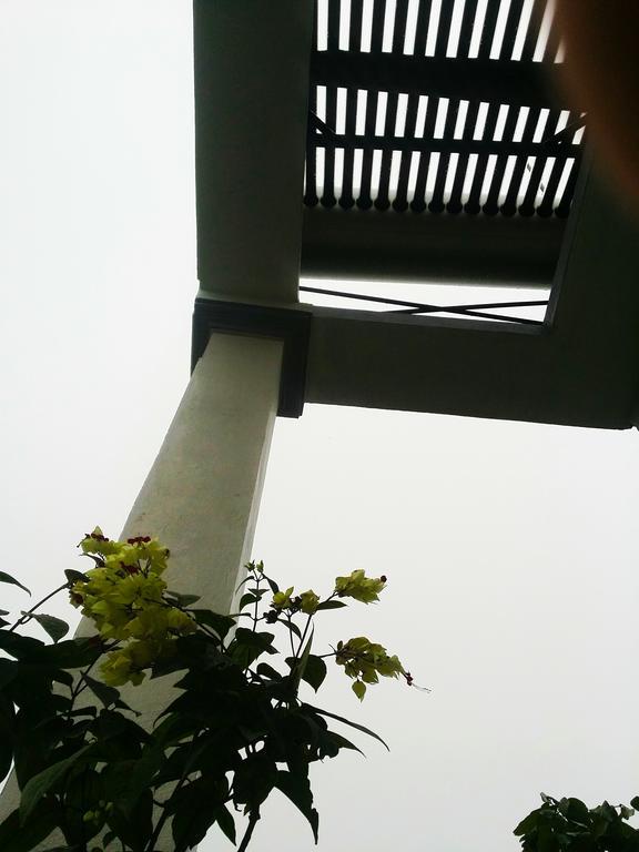 Homestay Moc Chau Bagian luar foto