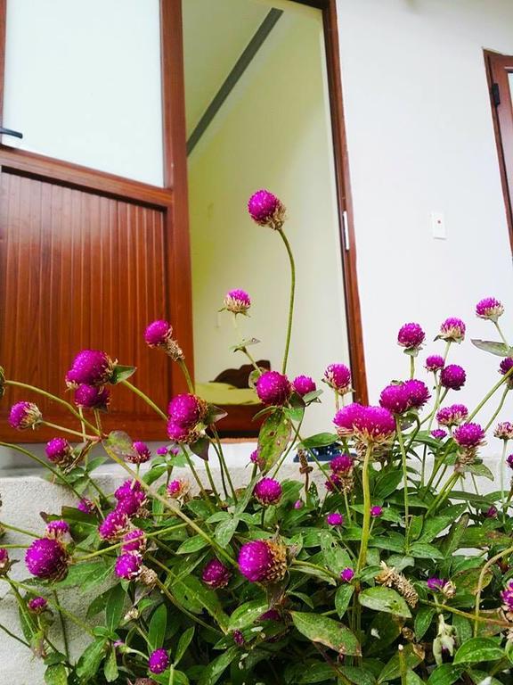 Homestay Moc Chau Bagian luar foto