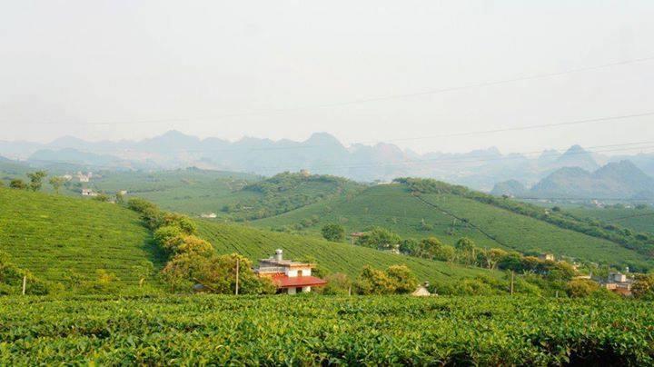 Homestay Moc Chau Bagian luar foto